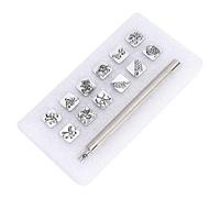 DANAIXZ Professional 12Pcs Zinc Alloy Leather Stamping Punch Tool Set with Handle Heavy Duty Leather Craft Carving Stamper for DIY Leather Working Projects Animals Plants Patterns