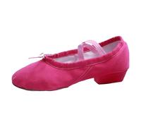 Dance Shoes Sandals for Women Latin Womens Sequined Leather Pointed Toe Kitten Heel Ballroom Heels Gladiator Stiletto Wide Fit Dancing High Indoor Yoga Silver Open-Toed Hot Pink-1 Size 5.5