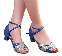 Dance Shoes Women's Width H Silver Summer Dance Shoes Performance Shoes Dance Shoes Party Latin Dance Shoes for Women 20s Shoes Women's Latin Dance Shoes Sandals Dance Shoes Women's Wide Feet,