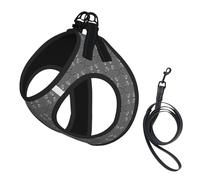 Dancing Feather Print Step in Dog Harness and Leash Set,Adjustable Reflective Harness for Small Dogs Cats