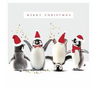 Dancing Pengiuns Party Animals - Pack of 5 Cute Festive Charity Christmas & Happy New Year Cards with Envelopes - 14x14cm - Eco-Friendly & Recyclable