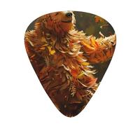 Dancing Thanksgiving Bear - Guitar Picks-12 Pack Includes Thin, Medium & Heavy Gauges, Best Gift for Guitar Lovers