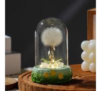 Dandelion Cordless Night Light with Glass Cover Wooden Base, Battery Operated Night Light Unique Gift for Dad Mom Teacher Birthday Wedding Valentine's Father's Day