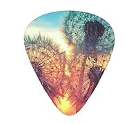 Dandelion DIY Drawing Paint Guitar Picks 12 Pcs Classical Triangle Guitar Plectrums Includes Thin, Medium & Heavy Gauges 3 Sizes for Bass Electric Acoustic Guitars Ukulele with Organizer Storage Box