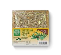 Dandelion Forage Tray by Small Pet Select - Natural Timothy Hay Treat with Herbs & Flowers for Small Pets, Rabbits & Guinea Pigs