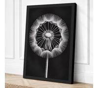 Dandelion in Detail Botanical Canvas Wall Art Print 30x20 Inch