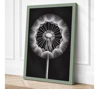 Dandelion in Detail Botanical Canvas Wall Art Print 30x20 Inch