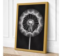 Dandelion in Detail Botanical Canvas Wall Art Print 36x24 Inch