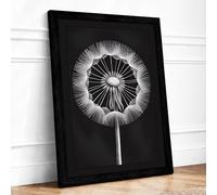 Dandelion in Detail Botanical Framed Wall Art Print A3 (42×29.7cm) Black, Wall Decor for Living Room, Bedroom, Office & Home, Ready to Hang, Art Gift