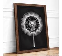 Dandelion in Detail Botanical Framed Wall Art Print A4 (29.7×21cm) Walnut, Wall Decor for Living Room, Bedroom, Office & Home, Ready to Hang, Art Gift