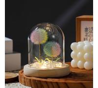 Dandelion Night Light with Glass Cover Wooden Base, Battery Operated Cordless Night Light Unique Gift for Dad Mom Teacher Birthday Wedding Valentine's Father's Day