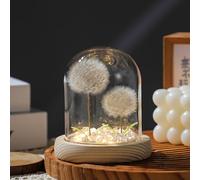 Dandelion Night Light with Glass Cover Wooden Base, Battery Operated Cordless Night Light Unique Gift for Dad Mom Teacher Birthday Wedding Valentine's Father's Day
