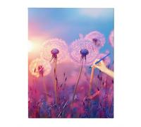 Dandelion Paint by Numbers Kits, Paint by Numbers for Adults Sunset, DIY Arts and Crafts for Kids, Canvas Oil Painting Kit for Gifts, Hobbies for Adults Women, Christmas Decorations, 30x40cm A-0