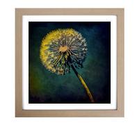 Dandelion Post-Impressionism Framed Print | 18x18 Inch Oak Framed Wall Art | Ready to Hang | Impressionist Nature Picture | Living Room Bedroom Lounge Office