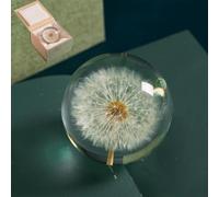 Dandelion Resin Paperweight with Real Flower Encased, Crystal Ball Gift for Home Decor - Handmade Unique Desk Accessory (7/8/9cm Diameter) (9cm)