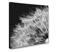 Dandelion Seed Sketch Canvas Print | Gallery Wrapped 30mm Frame Wall Art | 14x14 inches | Ready to Hang | Modern Picture | Living Room Bedroom Lounge Office