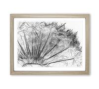 Dandelion Seed Sketch In Abstract Modern Art Framed Wall Art Print, Ready to Hang Picture for Living Room Bedroom Home Office Décor, Oak A3 (46 x 34 cm)