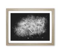 Dandelion Seed Sketch Paint Splash Modern Art Framed Wall Art Print, Ready to Hang Picture for Living Room Bedroom Home Office Décor, Oak A3 (46 x 34 cm)