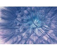 Dandelion seeds-500-Piece Puzzle for Adults - DIY Puzzle Pieces, Great Puzzle Game for Adults 14 years+