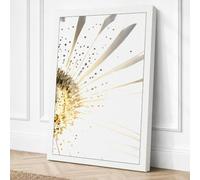Dandelion Seeds Botanical Canvas Wall Art Print 30x20 Inch