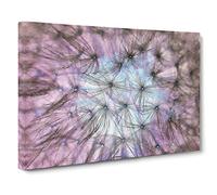 Dandelion Seeds in Blue & Pink Canvas Print | Gallery Wrapped 30mm Frame Wall Art | 30x20 inches | Ready to Hang | Modern Picture | Living Room Bedroom Lounge Office