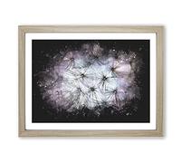 Dandelion Seeds In Blue & Pink Paint Splash Modern Art Framed Print | A2 Oak Framed Wall Art | Ready to Hang | Modern Nature Picture | Living Room Bedroom Lounge Office
