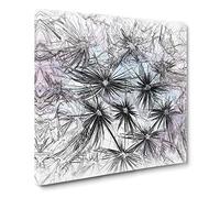 Dandelion Seeds in Blue & Pink Sketch Canvas Print | Gallery Wrapped 30mm Frame Wall Art | 20x20 inches | Ready to Hang | Modern Picture | Living Room Bedroom Lounge Office