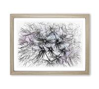Dandelion Seeds In Blue & Pink Sketch Modern Art Framed Print | A4 Oak Framed Wall Art | Ready to Hang | Modern Nature Picture | Living Room Bedroom Lounge Office