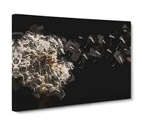 Dandelion Seeds In Flight Canvas Print | Gallery Wrapped 30mm Frame Wall Art | 20x14 inches | Ready to Hang | Abstract Picture | Living Room Bedroom Lounge Office