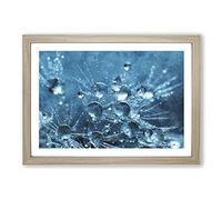 Dandelion Seeds Vol.5 Painting Framed Print | A2 Oak Framed Wall Art | Ready to Hang | Modern Historical Picture | Living Room Bedroom Lounge Office