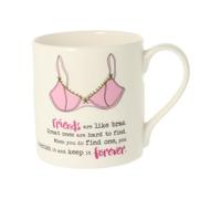 Dandelion Stationery Friends are Like Bras Breasties Forever Mug Funny Gift Idea QDS23