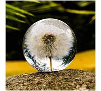 Dandilions Paperweight Dandelion Dreamball Paperweight Resin paperweight Crystal Ball Dream Ball Unique Dandelion The paperweight gifts for Family Lovers Children and Friends (8 cm)