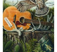 Dandy Warhols - This Machine