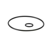 Danfoss 54mm O-Ring for Cover