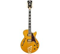 DAngelico Excel SS Amber