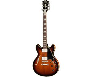 DAngelico Premier Mini DC Brown Burst