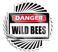 Danger Wild Bees Saying Outside Fall Decor Self Adhesive | Metal Window Vinyl Sticker Pack for Student(12X18CM)