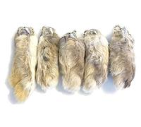 Dangerous Threads Rabbit Rabbits Foot Keychain White/Natural 5 Pcs