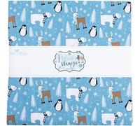 Dani Mogstad Winter Magic 10" Stacker 42 10-inch Squares Layer Cake Riley Blake Designs 10-16360-42