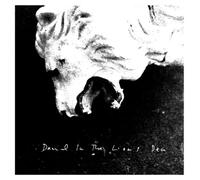 Daniel in the Lion S Den +Bonu