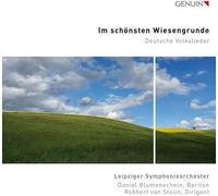 Daniel Blumenschein : Im Schönsten Wiesengrunde: Deutsche Volkslieder CD (2022)