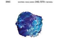 Daniel Fortin - Brinks