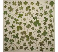 Daniel Martin Moore - Turned Over To Dreams