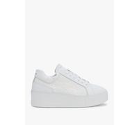 DANIEL Siblace White Leather Flatform Trainers Size: 36, Colour: White