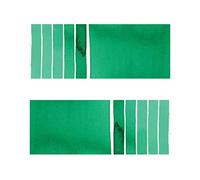 Daniel Smith D.Smith Phthalo Green Blue Shade, Half Goet