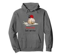 Daniel Snail Taxi Service and Ladybug Pullover Hoodie