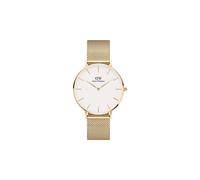 Daniel Wellington Ladies Petite Evergold Yellow Gold Tone Watch