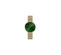 Daniel Wellington Ladies Gold Petite Emerald Watch DW00100480