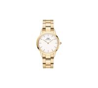 Daniel Wellington Dw00100565 Iconic 32Mm Quartz Watch In Gold Gold One Size