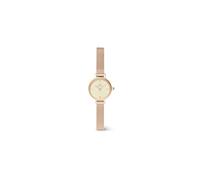 Daniel Wellington Petite Mini Champagne Melrose